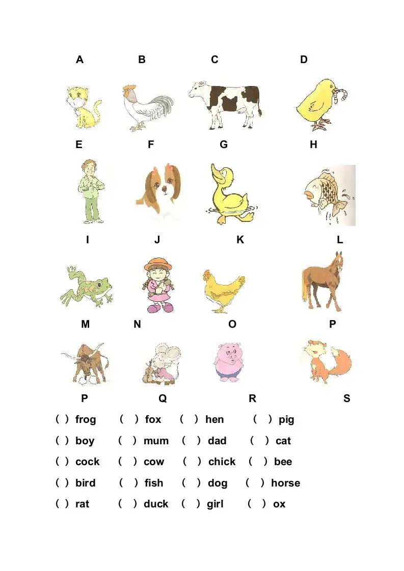 一年级英语上册英语复习试卷（人教一起点）