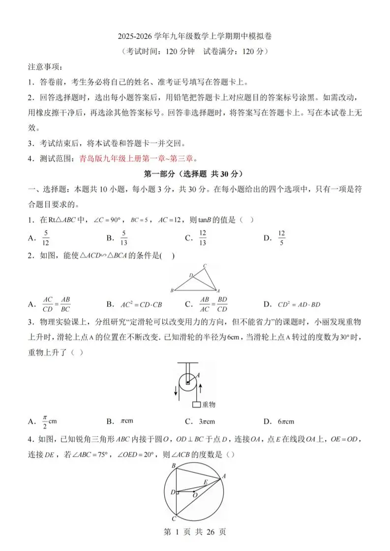 九年级上数学期中模拟卷（青岛版）-方舟智库
