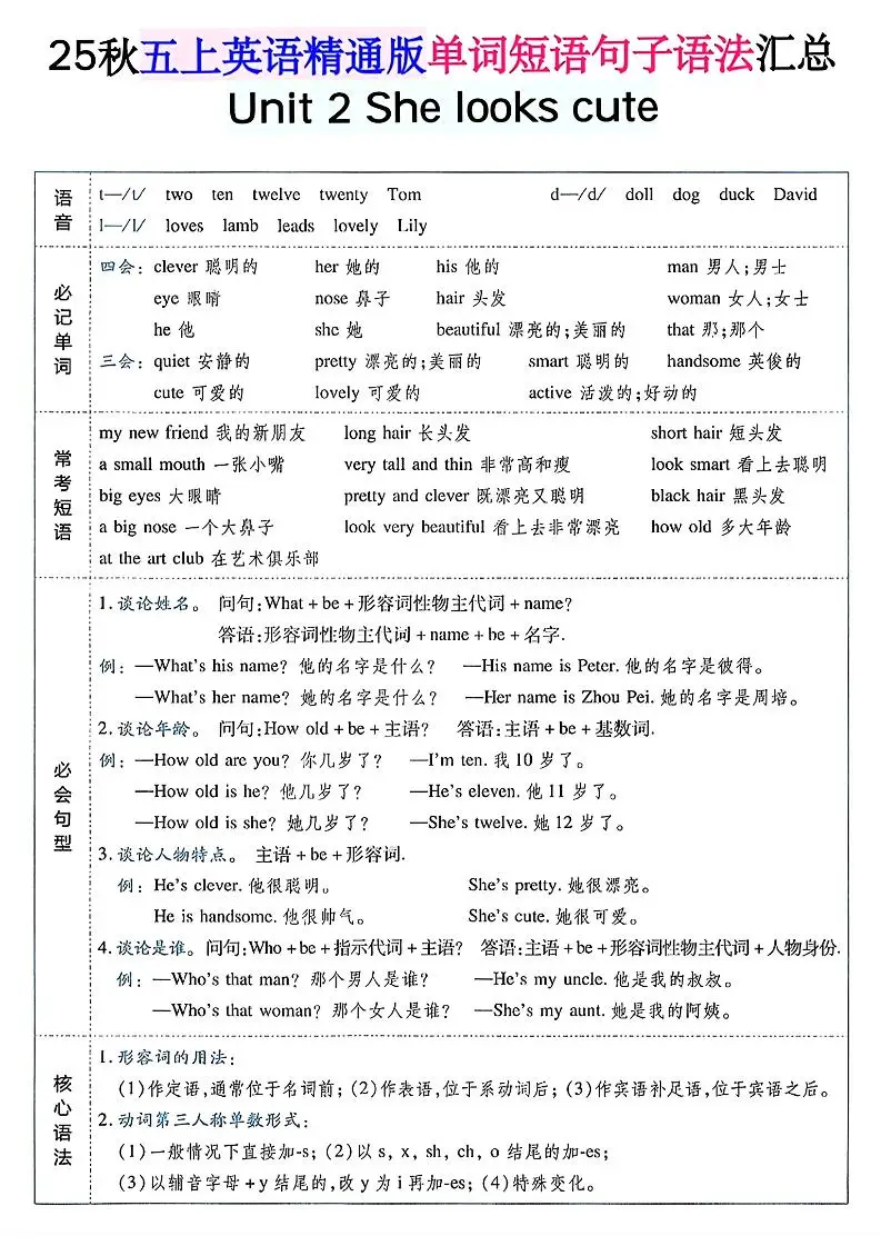 五上英语人教精通版单词短语句子语法汇总