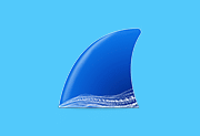 Wireshark中文版(网络抓包工具) v4.6.9 多语便携版-方舟软库