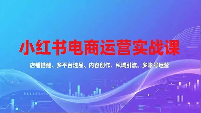 小红书电商运营实战课，店铺搭建、多平台选品、内容创作、私域引流、多账号运营等玩法-奇点库