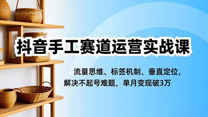 抖音手工赛道运营实战课，流量思维、标签机制、垂直定位，解决不起号难题，单月变现破3万-奇点库