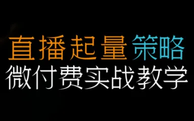 半野老师·直播带货起量与微付费必学课视频号-奇点库