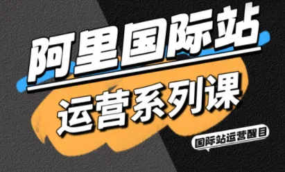 醒目老师·阿里国际站运营系列课(更新11月)-奇点库
