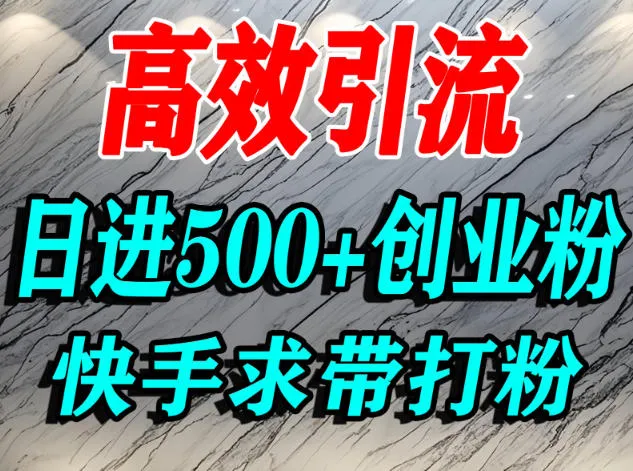 怎么打创业粉？快手求带视角精准引流创业粉，宝妈、学生群体日进500+精准流量-奇点库