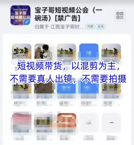 宝子哥头部团队短视频带货，以混剪为主，不需要真人出镜，不需要拍摄【更新26年3月】-奇点库资源网