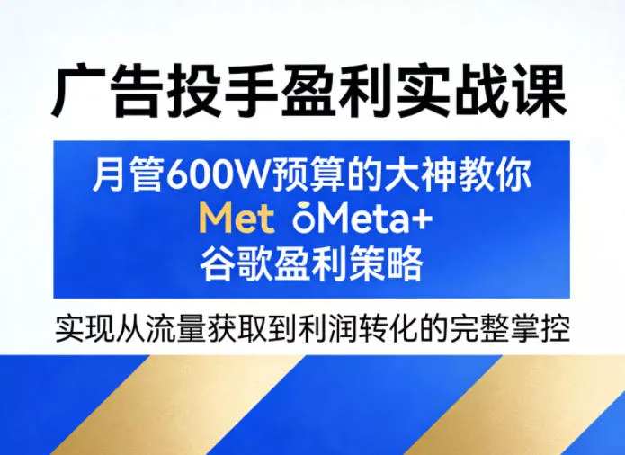广告投手盈利实战课，月管600W预算的大神教你Meta+谷歌盈利策略，实现从流量获取到利润转化的完整掌控-奇点资源库
