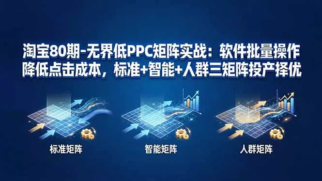 淘宝80期-无界低PPC矩阵实战：软件批量操作降低点击成本，标准+智能+人群三矩阵投产择优-奇点库