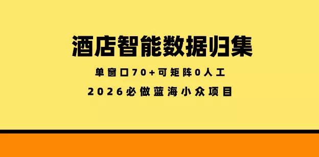 酒店智能数据归集,小众蓝海已经稳定半年之久,单窗口70+零成本矩阵开干【揭秘】