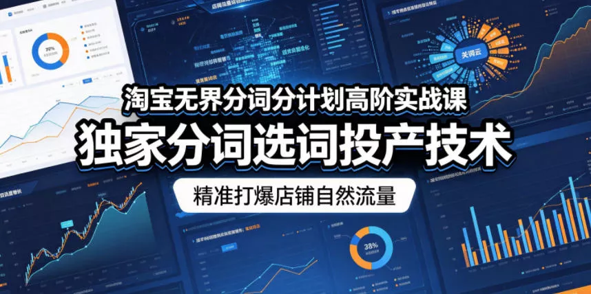 淘宝无界分词分计划高阶实战课，独家分词选词投产技术，精准打爆店铺自然流量-奇点库