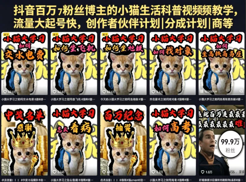抖音百万粉丝博主的小猫生活科普视频教学，流量大起号快，创作者伙伴计划|分成计划|商单|收徒等-奇点库