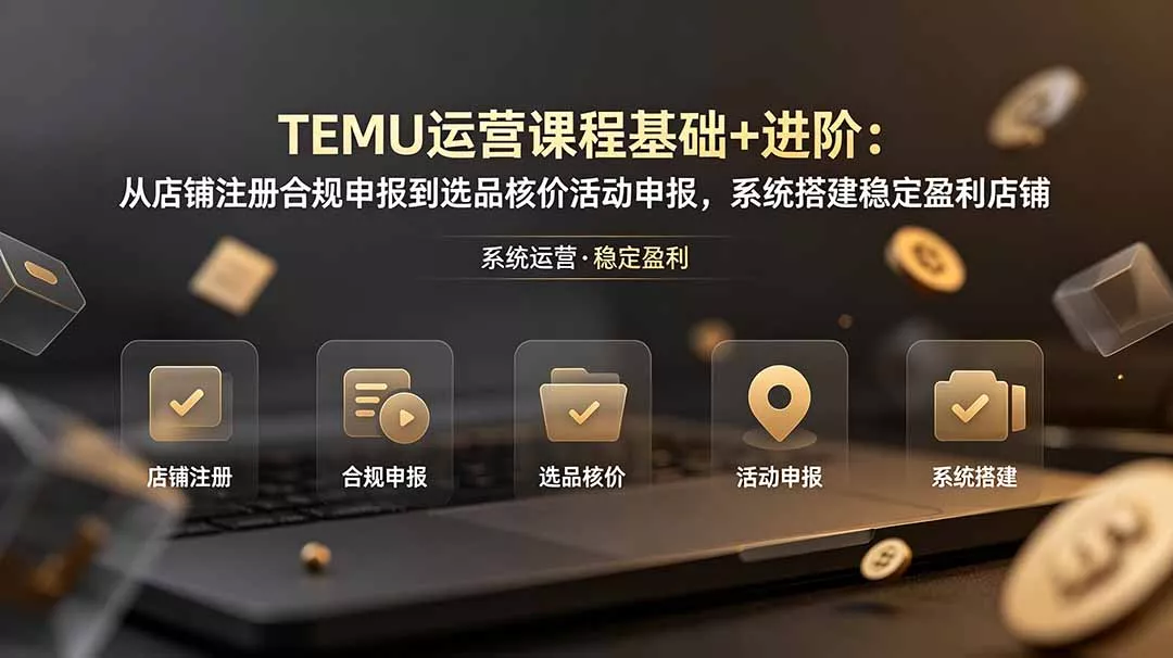 TEMU运营课程(基础+进阶-奇点库