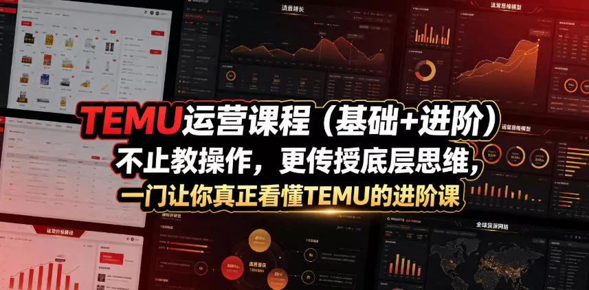 TEMU运营课程(基础+进阶)，不止教操作，更传授底层思维，一门让你真正看懂TEMU的进阶课-奇点库