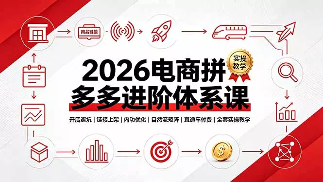 2026电商拼多多进阶体系课，开店避坑，链接上架，内功优化，自然流矩阵｜直通车付费｜全套实操教学-奇点库
