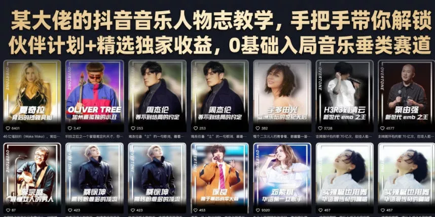 某大佬的抖音音乐人物志教学，手把手带你解锁伙伴计划+精选独家收益，0基础入局音乐垂类赛道-奇点库
