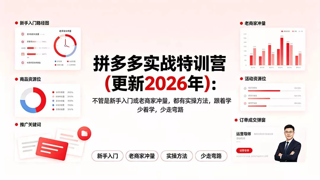 拼多多实战特训营(更新2026年-奇点库