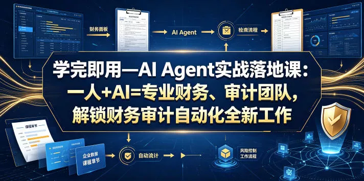 学完即用—AI Agent实战落地课：一人+AI=专业财务、审计团队，解锁财务审计自动化全新工作模式(更新0804)-奇点库