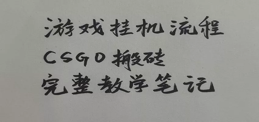 游戏挂机全流程笔记分享，CSGO游戏搬砖，小白看了当天学会见收益-奇点库