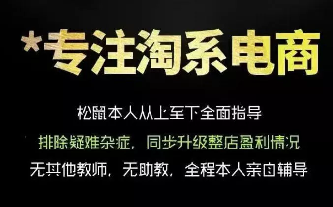 松鼠会电商VIP课程，从基础布局到高阶优化，助你掌握淘宝运营逻辑，提升店铺流量与转化(更新0815)-奇点库
