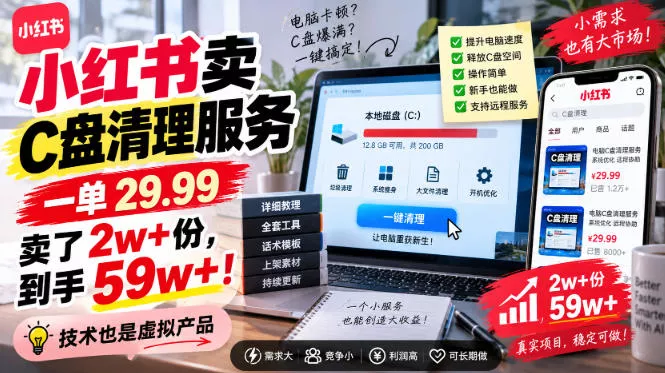 小红书卖C盘清理服务，一单29.99，卖了2w+份，技术也是虚拟产品-奇点库