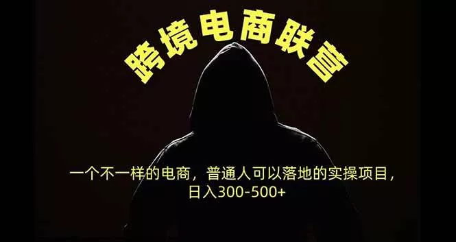 （20702期）跨境电商联营，一个不一样的电商，普通人可操作日入300-500+-奇点库