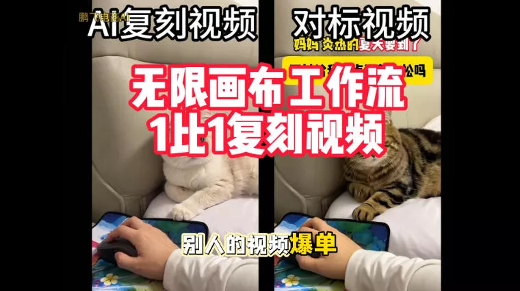 宠物带货视频复刻，无限画布工作流1比1，不用拍摄、不用布景、不用真人出镜，几分钟就能做出一条专业带货视频-奇点库