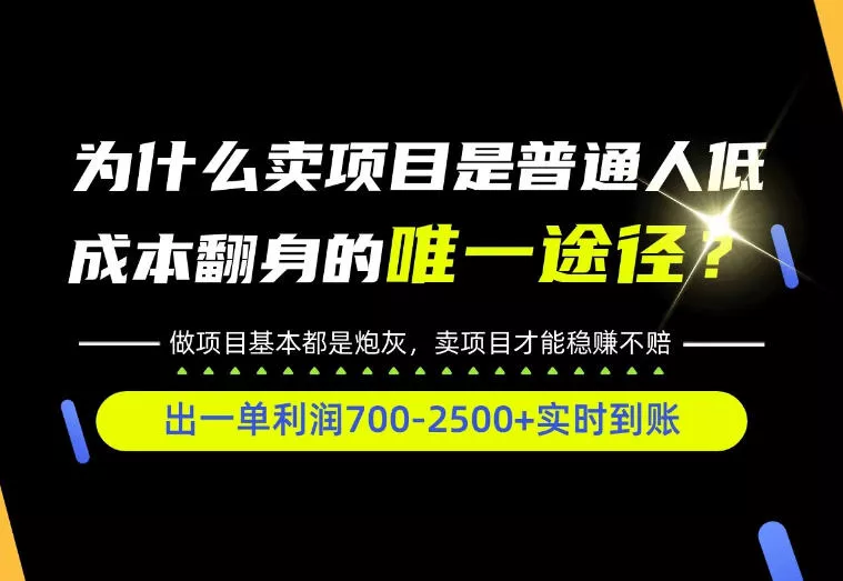 普通人如何靠互联网賺取自己的第一桶金！全类目实操型教学，看完你全都懂了！【揭秘】-奇点库