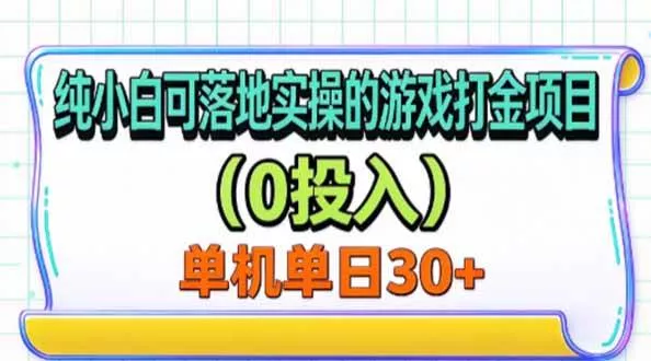 （20993期）纯小白可落地实操的游戏打金项目（0投入）单机单号30+-奇点库