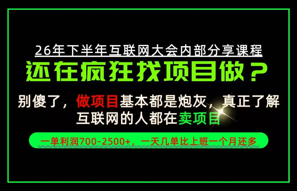 请不要再疯狂的找项目了！卖项目一单700-2.5k+不香吗？当天上手，当天变现！【揭秘】-奇点库