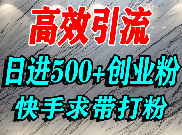 怎么打创业粉？快手求带视角精准引流创业粉，宝妈、学生群体日进500+精准流量-奇点库